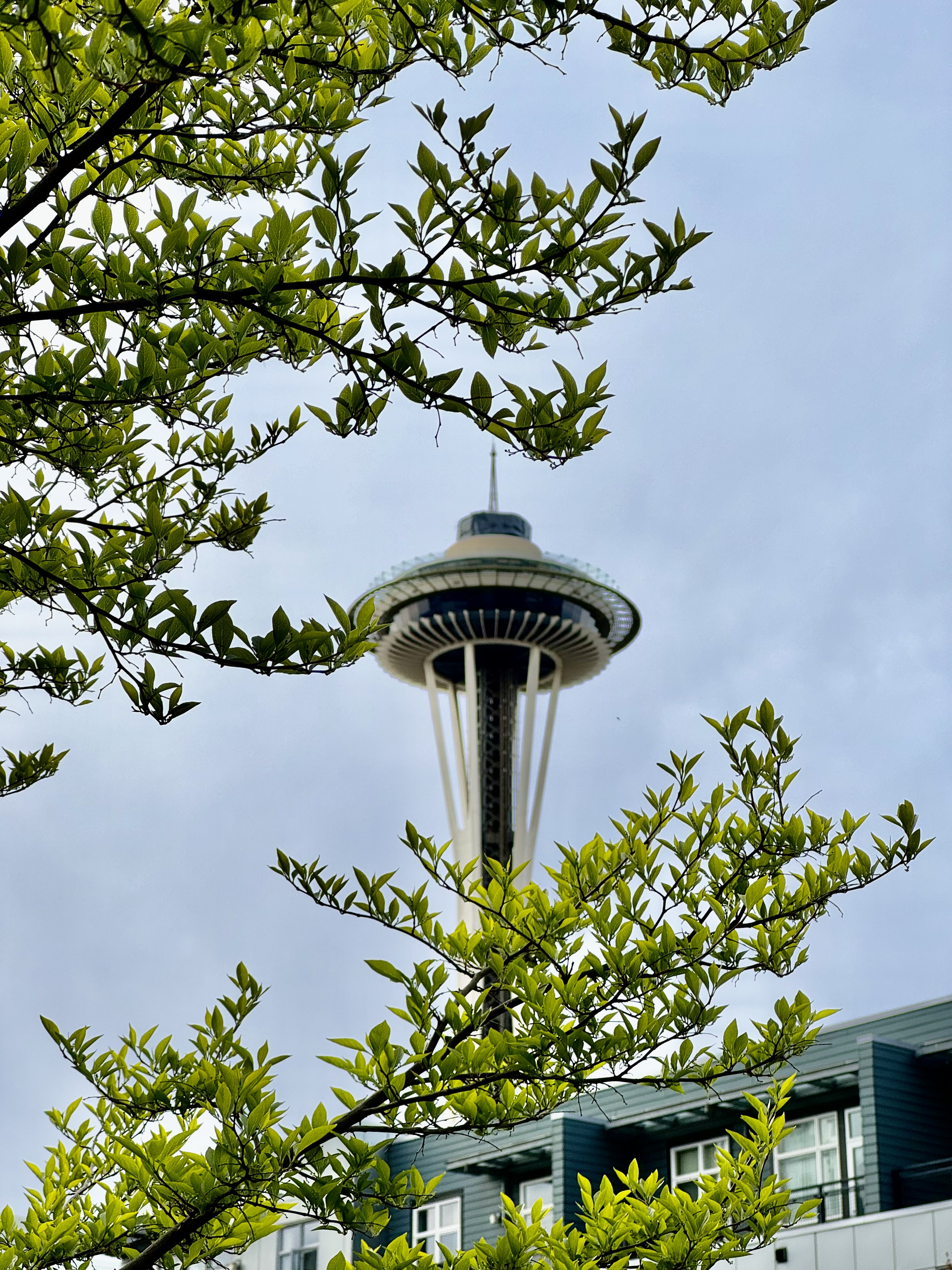 Space Needle